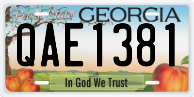 GA license plate QAE1381
