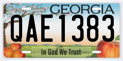 GA license plate QAE1383