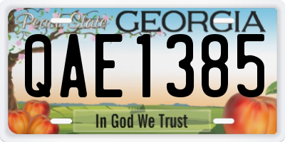 GA license plate QAE1385