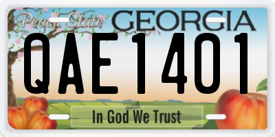 GA license plate QAE1401