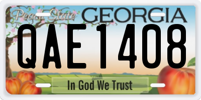 GA license plate QAE1408