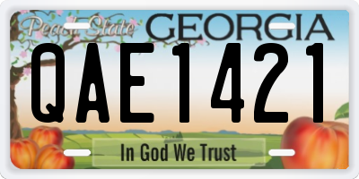 GA license plate QAE1421