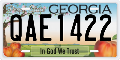 GA license plate QAE1422