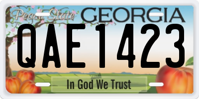 GA license plate QAE1423