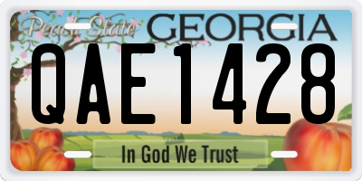 GA license plate QAE1428