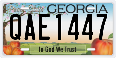 GA license plate QAE1447