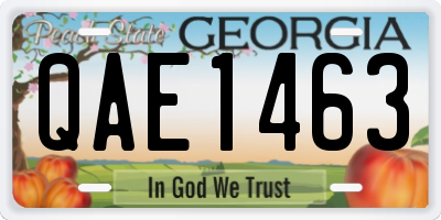 GA license plate QAE1463