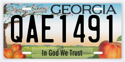 GA license plate QAE1491