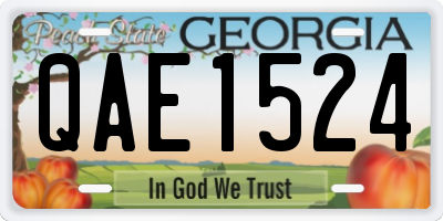GA license plate QAE1524