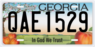 GA license plate QAE1529