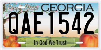 GA license plate QAE1542