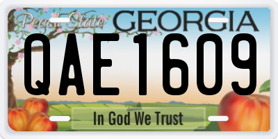 GA license plate QAE1609