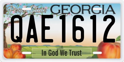 GA license plate QAE1612