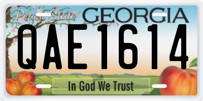 GA license plate QAE1614