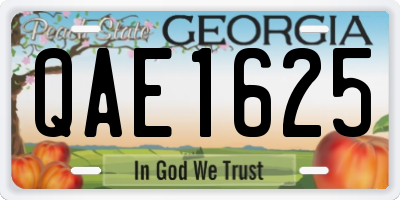 GA license plate QAE1625