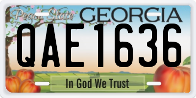 GA license plate QAE1636