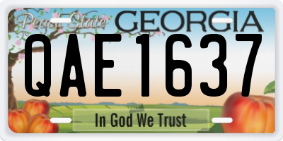 GA license plate QAE1637