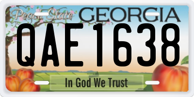 GA license plate QAE1638