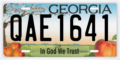 GA license plate QAE1641