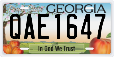 GA license plate QAE1647