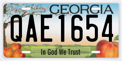 GA license plate QAE1654