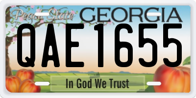 GA license plate QAE1655