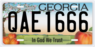 GA license plate QAE1666