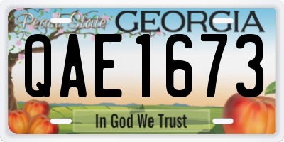 GA license plate QAE1673
