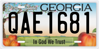 GA license plate QAE1681