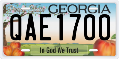 GA license plate QAE1700