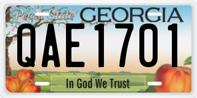 GA license plate QAE1701