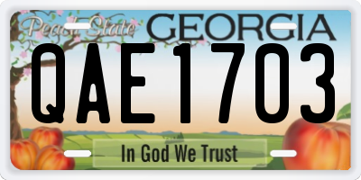 GA license plate QAE1703