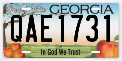 GA license plate QAE1731