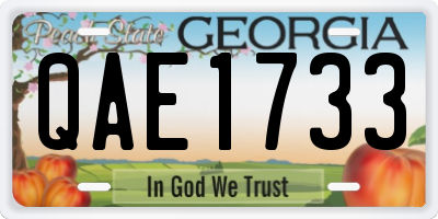 GA license plate QAE1733
