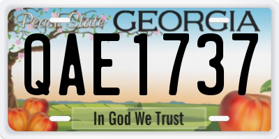 GA license plate QAE1737