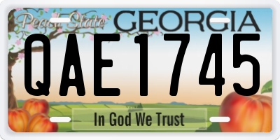 GA license plate QAE1745