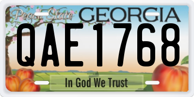 GA license plate QAE1768