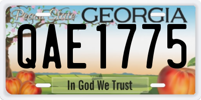 GA license plate QAE1775