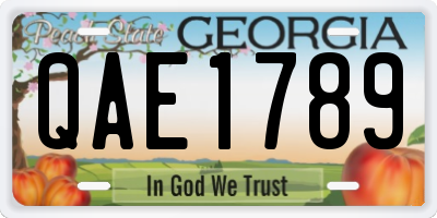 GA license plate QAE1789