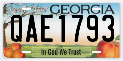 GA license plate QAE1793