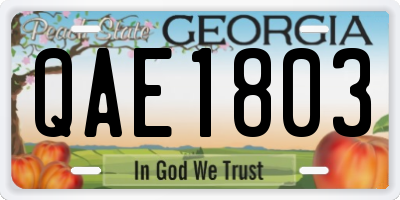 GA license plate QAE1803