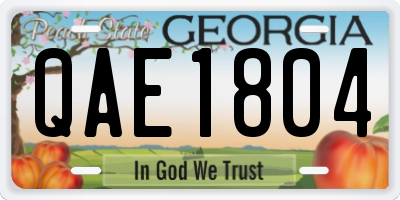 GA license plate QAE1804