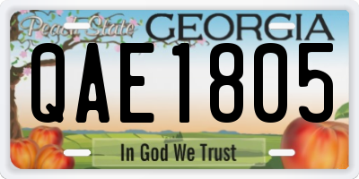 GA license plate QAE1805