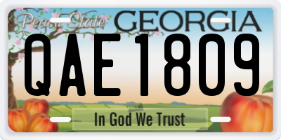 GA license plate QAE1809