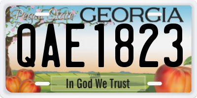 GA license plate QAE1823