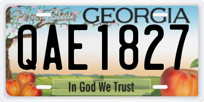 GA license plate QAE1827