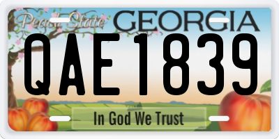 GA license plate QAE1839