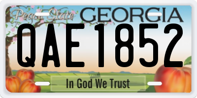 GA license plate QAE1852