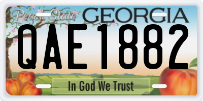 GA license plate QAE1882