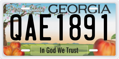 GA license plate QAE1891